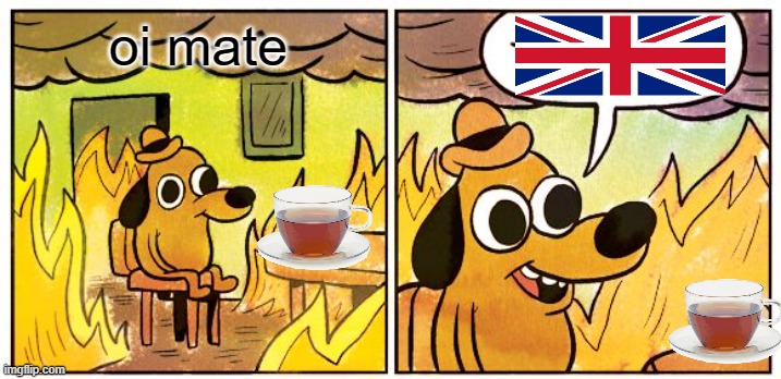 tea | oi mate | image tagged in memes,this is fine | made w/ Imgflip meme maker