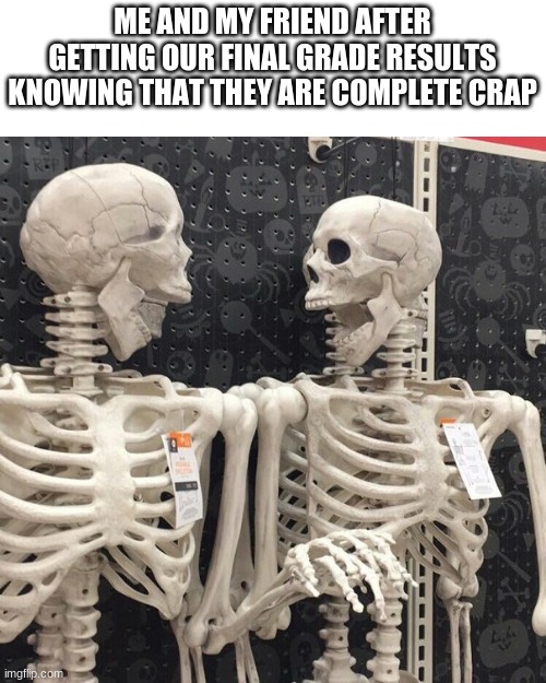 I just got my final grade results | ME AND MY FRIEND AFTER GETTING OUR FINAL GRADE RESULTS KNOWING THAT THEY ARE COMPLETE CRAP | image tagged in two skeletons | made w/ Imgflip meme maker