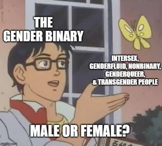 The Gender Binary Be Like | image tagged in gender,gender identity,gender binary,lgbtq,gender fluid,intersex | made w/ Imgflip meme maker