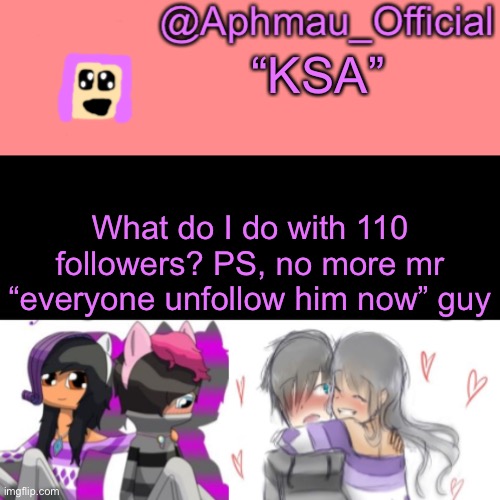 Aphmau_Official V3 | “KSA”; What do I do with 110 followers? PS, no more mr “everyone unfollow him now” guy | image tagged in aphmau_official v3 | made w/ Imgflip meme maker