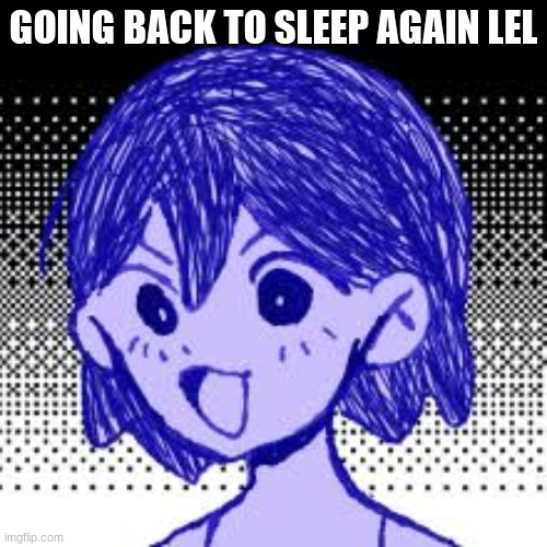 ¯\_(ツ)_/¯ | GOING BACK TO SLEEP AGAIN LEL | image tagged in pog kel | made w/ Imgflip meme maker