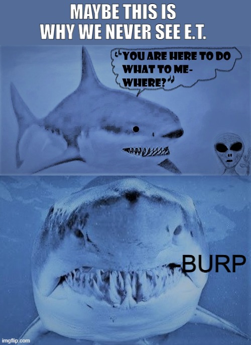 "WHO AM I? I'M NOBODY." |  MAYBE THIS IS WHY WE NEVER SEE E.T. -BURP | image tagged in nobody,et,and now you have officially carried it too far buddy,shark | made w/ Imgflip meme maker