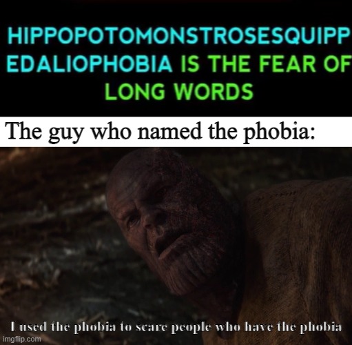 Phobia | The guy who named the phobia:; I used the phobia to scare people who have the phobia | image tagged in i used the stones to destroy the stones | made w/ Imgflip meme maker