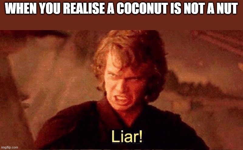 cocoNUT | WHEN YOU REALISE A COCONUT IS NOT A NUT | image tagged in anakin liar | made w/ Imgflip meme maker