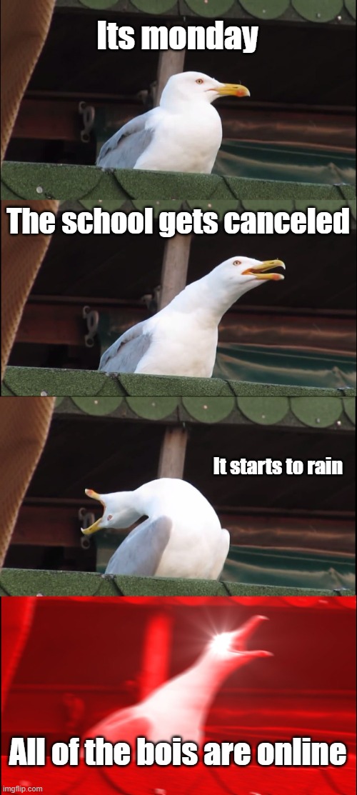 Inhaling Seagull | Its monday; The school gets canceled; It starts to rain; All of the bois are online | image tagged in memes,inhaling seagull | made w/ Imgflip meme maker