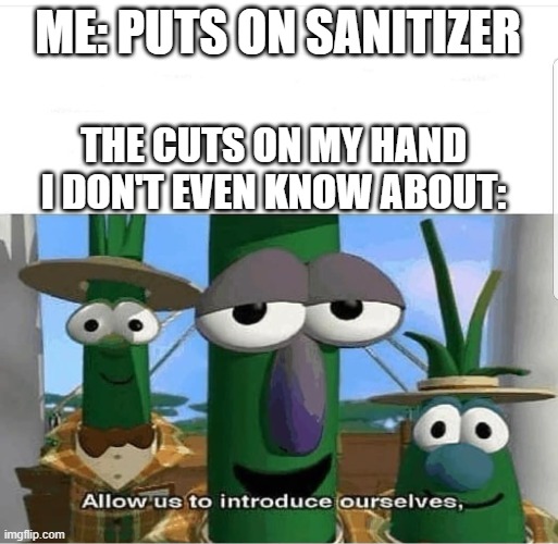 a mock meme | ME: PUTS ON SANITIZER; THE CUTS ON MY HAND I DON'T EVEN KNOW ABOUT: | image tagged in allow us to introduce ourselves | made w/ Imgflip meme maker