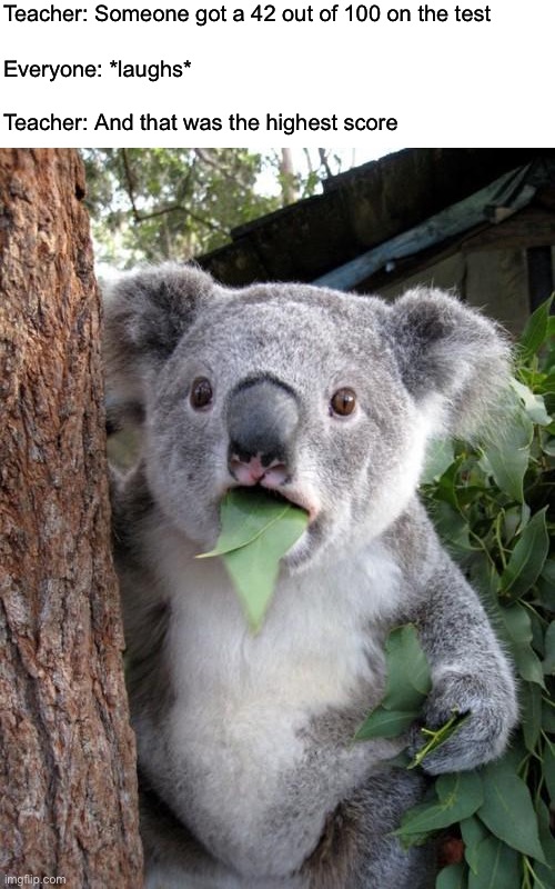 Whoa | Teacher: Someone got a 42 out of 100 on the test; Everyone: *laughs*; Teacher: And that was the highest score | image tagged in memes,surprised koala | made w/ Imgflip meme maker