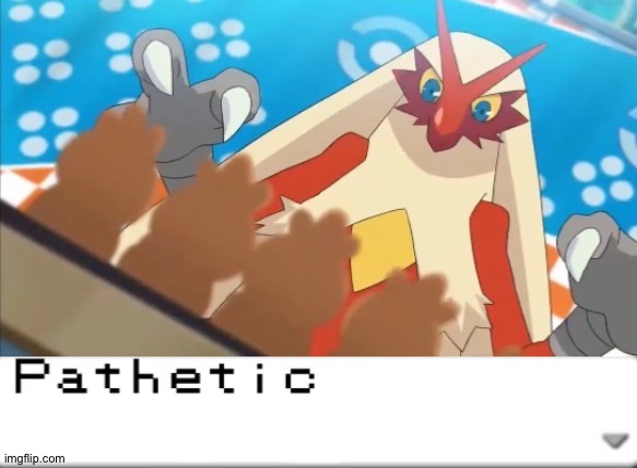 Pathetic (Blaziken) | image tagged in pathetic blaziken | made w/ Imgflip meme maker