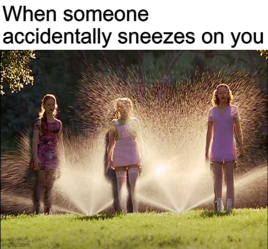 Cokie and Friends Soaked by Sprinklers | When someone accidentally sneezes on you | image tagged in cokie and friends soaked by sprinklers,cokie,memes,sneezing,sneeze | made w/ Imgflip meme maker