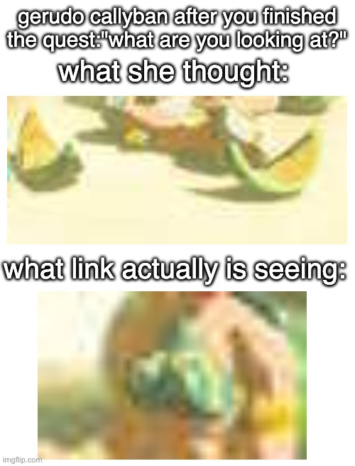 botw memes | gerudo callyban after you finished the quest:"what are you looking at?"; what she thought:; what link actually is seeing: | image tagged in botw,watermelon | made w/ Imgflip meme maker
