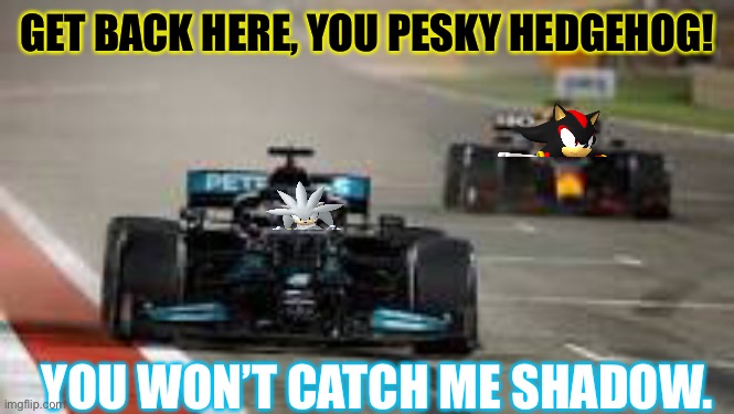 Silver and Shadow try out for F1 | GET BACK HERE, YOU PESKY HEDGEHOG! YOU WON’T CATCH ME SHADOW. | image tagged in f1,formula 1,silver,shadow the hedgehog,shadow,silver the hedgehog | made w/ Imgflip meme maker