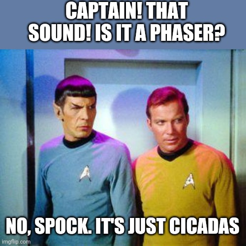 A phaser on overload? | CAPTAIN! THAT SOUND! IS IT A PHASER? NO, SPOCK. IT'S JUST CICADAS | image tagged in kirk and spock | made w/ Imgflip meme maker