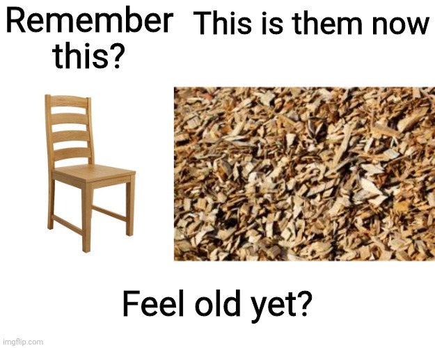 Woodchipper go brrr | Remember this? This is them now; Feel old yet? | image tagged in chair | made w/ Imgflip meme maker