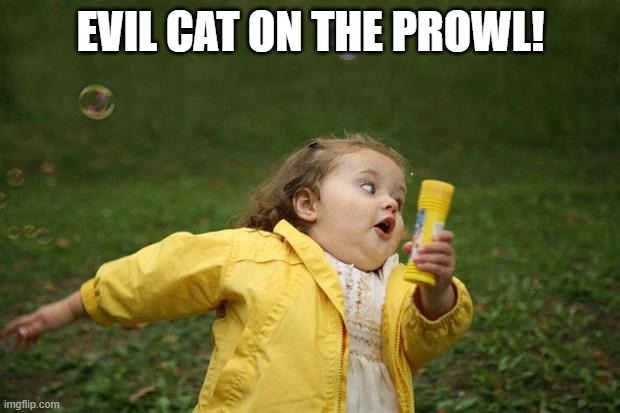 girl running | EVIL CAT ON THE PROWL! | image tagged in girl running | made w/ Imgflip meme maker