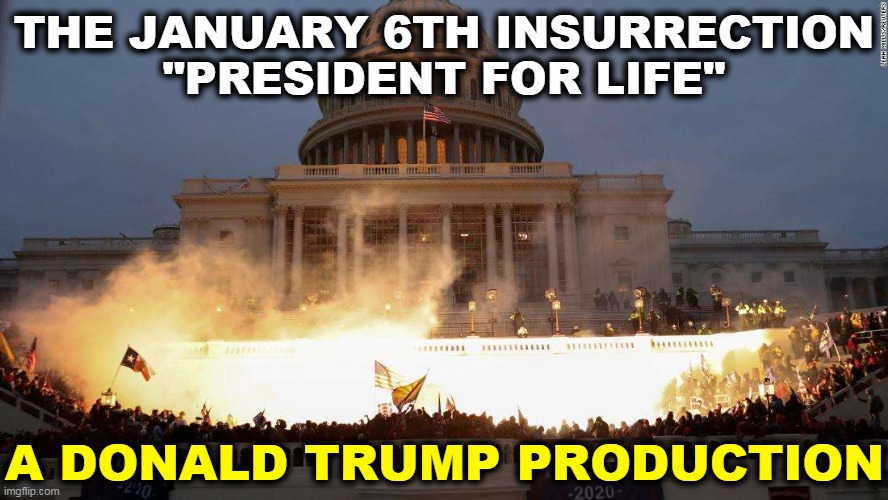 Cancel the Constitution! | THE JANUARY 6TH INSURRECTION
"PRESIDENT FOR LIFE"; A DONALD TRUMP PRODUCTION | image tagged in capitol uprising,trump,plan,riots,president,life | made w/ Imgflip meme maker