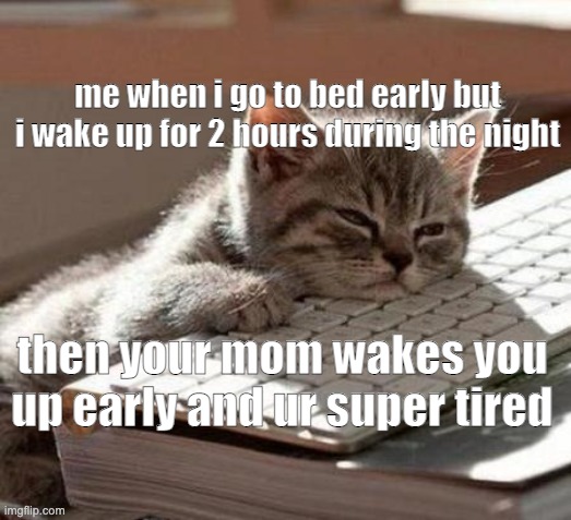 tired cat |  me when i go to bed early but i wake up for 2 hours during the night; then your mom wakes you up early and ur super tired | image tagged in tired cat | made w/ Imgflip meme maker