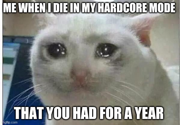 crying cat | ME WHEN I DIE IN MY HARDCORE MODE; THAT YOU HAD FOR A YEAR | image tagged in crying cat | made w/ Imgflip meme maker