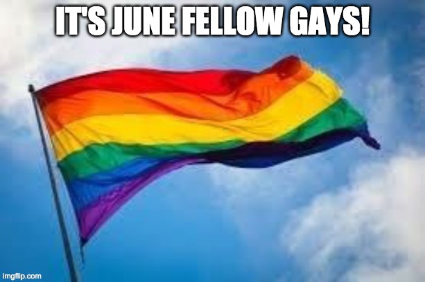 I hope I can go to parade this year. | IT'S JUNE FELLOW GAYS! | image tagged in gay flag | made w/ Imgflip meme maker