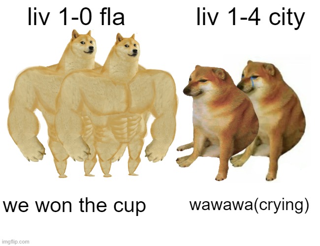 ? | liv 1-0 fla; liv 1-4 city; we won the cup; wawawa(crying) | image tagged in memes,buff doge vs cheems | made w/ Imgflip meme maker