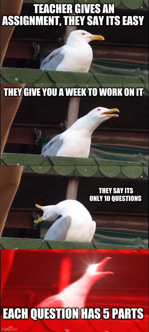 Inhaling Seagull Meme | TEACHER GIVES AN ASSIGNMENT, THEY SAY ITS EASY; THEY GIVE YOU A WEEK TO WORK ON IT; THEY SAY ITS ONLY 10 QUESTIONS; EACH QUESTION HAS 5 PARTS | image tagged in memes,inhaling seagull | made w/ Imgflip meme maker