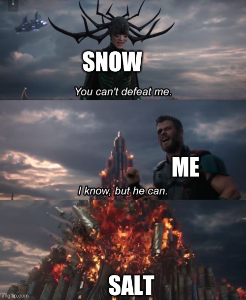 you can't defeat me | SNOW; ME; SALT | image tagged in you can't defeat me,memes,funny,so true memes | made w/ Imgflip meme maker