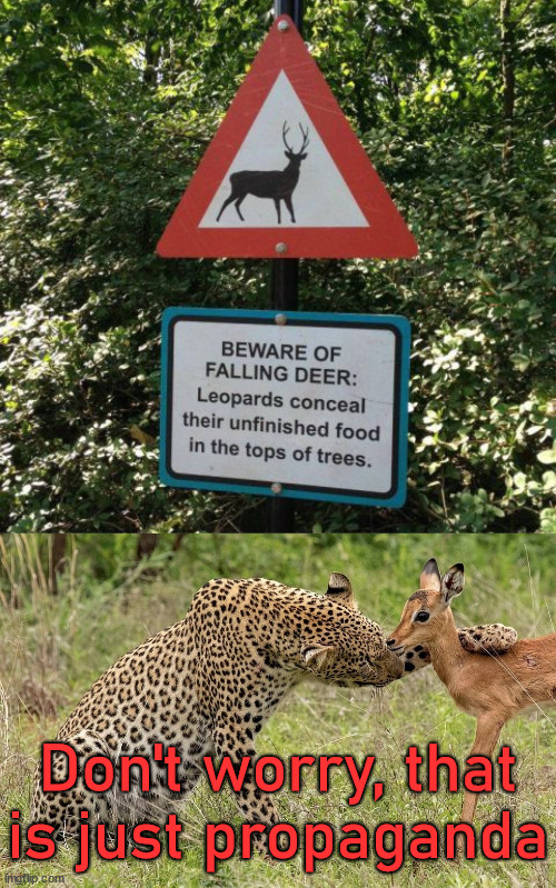 Beware of signs | Don't worry, that is just propaganda | image tagged in leopard antilope,funny signs,propaganda | made w/ Imgflip meme maker