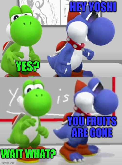 Yoshi & Boshi 2.0 | HEY YOSHI; YES? YOU FRUITS ARE GONE; WAIT WHAT? | image tagged in yoshi boshi 2 0 | made w/ Imgflip meme maker