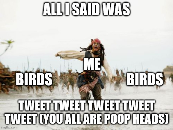 When You Try To Learn Bird Language | ALL I SAID WAS; ME; BIRDS; BIRDS; TWEET TWEET TWEET TWEET TWEET (YOU ALL ARE POOP HEADS) | image tagged in memes,jack sparrow being chased | made w/ Imgflip meme maker