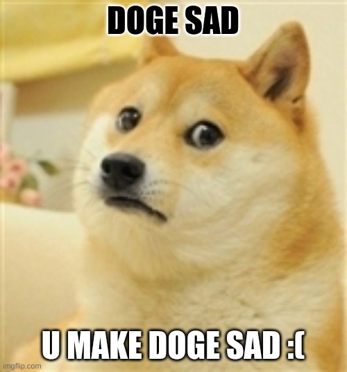 Sad Doge | DOGE SAD U MAKE DOGE SAD :( | image tagged in sad doge | made w/ Imgflip meme maker