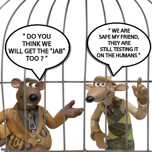 Lab Rats | " WE ARE SAFE MY FRIEND,
THEY ARE STILL TESTING IT ON THE HUMANS "; " DO YOU THINK WE WILL GET THE "JAB"
TOO ? " | image tagged in memes,vaccinations,plandemic,beware,experiment,fun | made w/ Imgflip meme maker