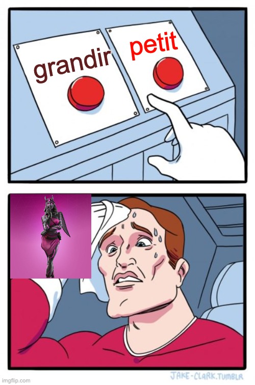 Two Buttons Meme | petit; grandir | image tagged in memes,two buttons | made w/ Imgflip meme maker