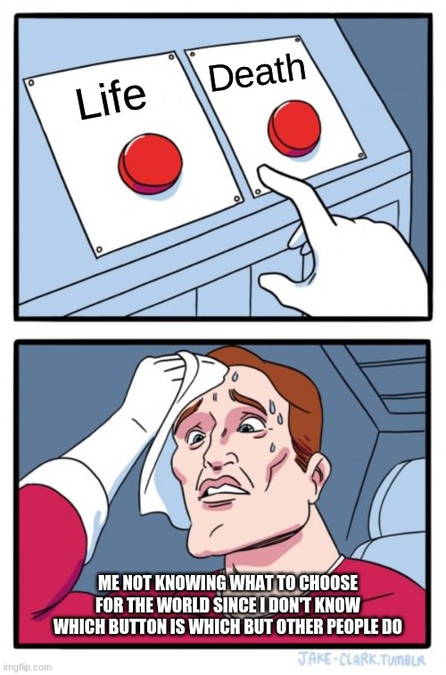 Two Buttons | Death; Life; ME NOT KNOWING WHAT TO CHOOSE FOR THE WORLD SINCE I DON'T KNOW WHICH BUTTON IS WHICH BUT OTHER PEOPLE DO | image tagged in memes,two buttons | made w/ Imgflip meme maker