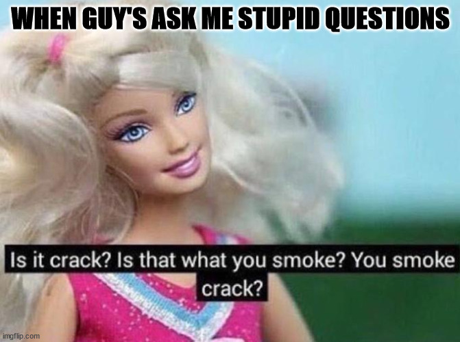 Stupid Questions | WHEN GUY'S ASK ME STUPID QUESTIONS | image tagged in barbie,stupid liberals,stupid question,dumbest man alive blank | made w/ Imgflip meme maker