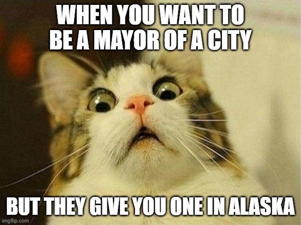 A cat was an Alaskan mayor for 20 years | WHEN YOU WANT TO BE A MAYOR OF A CITY; BUT THEY GIVE YOU ONE IN ALASKA | image tagged in memes,scared cat,nine lives,alaska | made w/ Imgflip meme maker