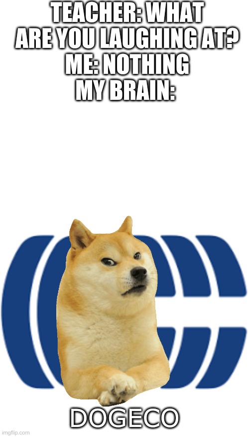 Maybe that's why the wifi is so trash | TEACHER: WHAT ARE YOU LAUGHING AT?
ME: NOTHING
MY BRAIN:; DOGECO | image tagged in blank white template,cogeco | made w/ Imgflip meme maker