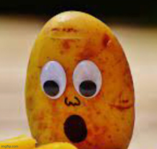 Why is this in my photos?????? | made w/ Imgflip meme maker