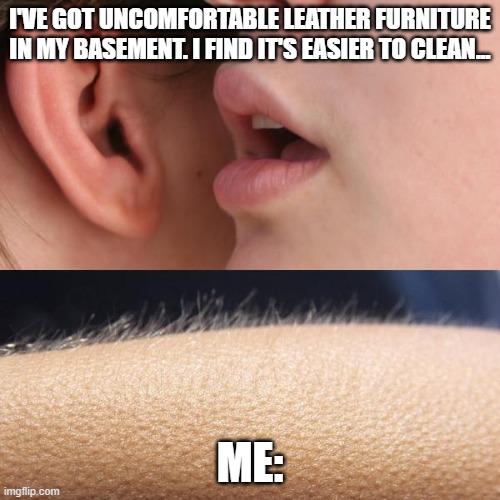 If I need to explain it, then you're too young. | I'VE GOT UNCOMFORTABLE LEATHER FURNITURE IN MY BASEMENT. I FIND IT'S EASIER TO CLEAN... ME: | image tagged in whisper and goosebumps | made w/ Imgflip meme maker