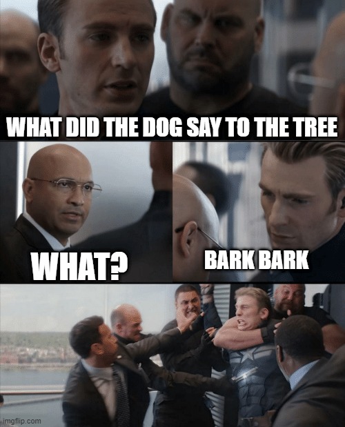 Captain America Elevator Fight | WHAT DID THE DOG SAY TO THE TREE; BARK BARK; WHAT? | image tagged in captain america elevator fight | made w/ Imgflip meme maker