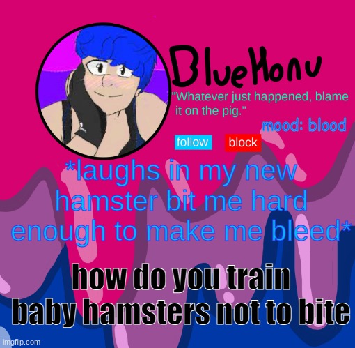 I don't think angelica likes me | *laughs in my new hamster bit me hard enough to make me bleed*; mood: blood; how do you train baby hamsters not to bite | image tagged in bluehonu announcement temp | made w/ Imgflip meme maker