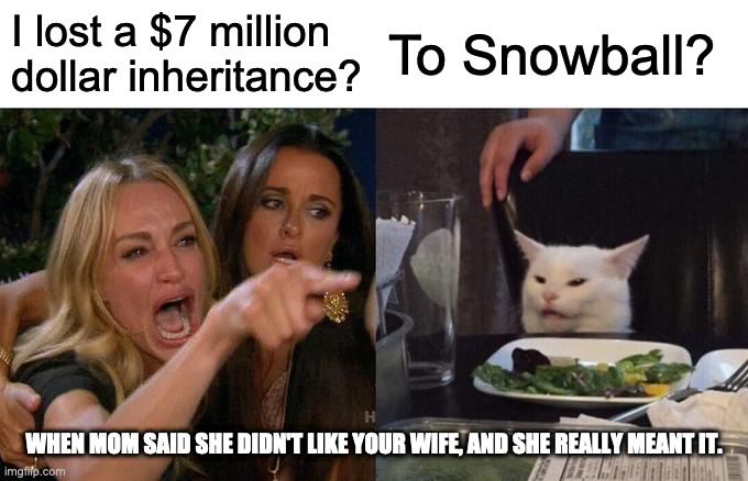 Woman Yelling At Cat Meme | I lost a $7 million dollar inheritance? To Snowball? WHEN MOM SAID SHE DIDN'T LIKE YOUR WIFE, AND SHE REALLY MEANT IT. | image tagged in memes,woman yelling at cat | made w/ Imgflip meme maker