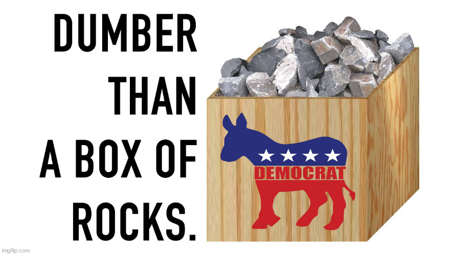 ROCKS  WIN | image tagged in stupid liberals,democratic party | made w/ Imgflip meme maker