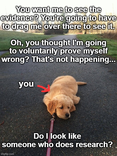 Lazy people | You want me to see the evidence? You're going to have to drag me over there to see it. Oh, you thought I'm going to voluntarily prove myself wrong? That's not happening... you; Do I look like someone who does research? | image tagged in lazy people,dismissive,lazy dog | made w/ Imgflip meme maker