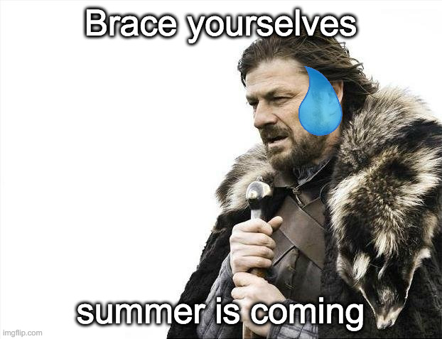 lol |  Brace yourselves; summer is coming | image tagged in memes,brace yourselves x is coming | made w/ Imgflip meme maker