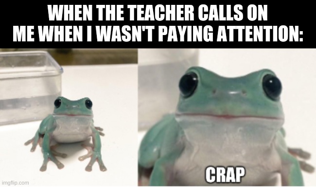 If you want to use them template just search up "crap frog" and it should show up | WHEN THE TEACHER CALLS ON ME WHEN I WASN'T PAYING ATTENTION: | image tagged in frog | made w/ Imgflip meme maker