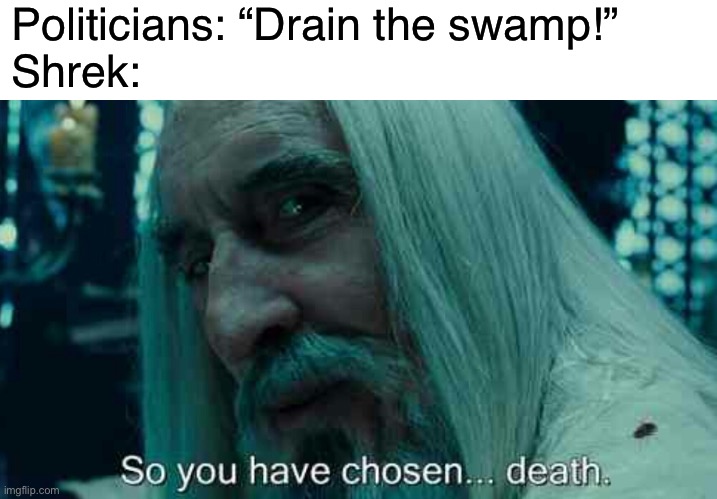 WHAT ARE YOU DOING IN MY SWAMP | Politicians: “Drain the swamp!”
Shrek: | image tagged in so you have chosen death,funny,memes,shrek | made w/ Imgflip meme maker