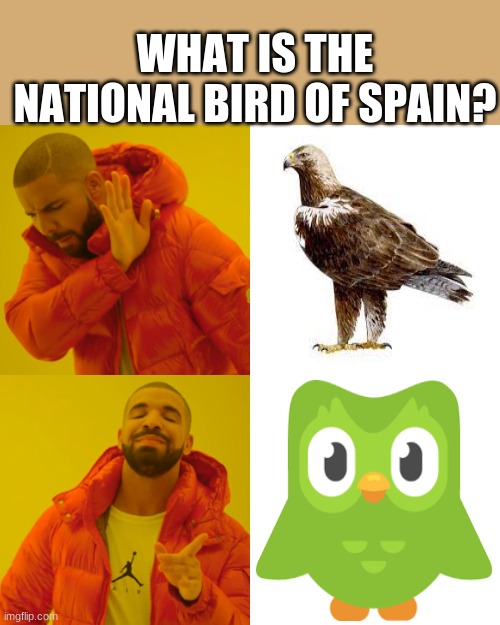 Drake Hotline Bling Meme | WHAT IS THE NATIONAL BIRD OF SPAIN? | image tagged in memes,drake hotline bling | made w/ Imgflip meme maker