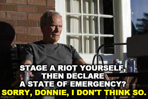 There are patriots, and then there are Republicans. | STAGE A RIOT YOURSELF, 
THEN DECLARE 
A STATE OF EMERGENCY? SORRY, DONNIE, I DON'T THINK SO. | image tagged in clint eastwood gran torino,january,capitol hill,riots,cancel culture,constitution | made w/ Imgflip meme maker