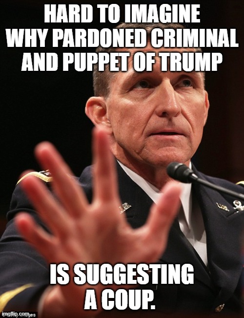 Michael Flynn | HARD TO IMAGINE WHY PARDONED CRIMINAL AND PUPPET OF TRUMP; IS SUGGESTING A COUP. | image tagged in michael flynn | made w/ Imgflip meme maker