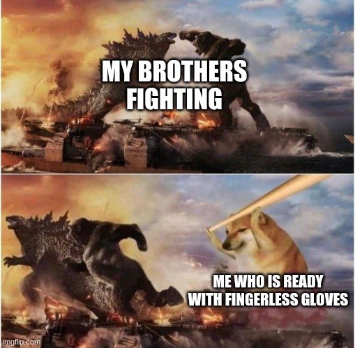 ?✌️ | MY BROTHERS FIGHTING; ME WHO IS READY WITH FINGERLESS GLOVES | image tagged in kong godzilla doge | made w/ Imgflip meme maker