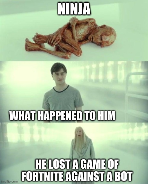 Dead Baby Voldemort / What Happened To Him | NINJA; WHAT HAPPENED TO HIM; HE LOST A GAME OF FORTNITE AGAINST A BOT | image tagged in dead baby voldemort / what happened to him | made w/ Imgflip meme maker